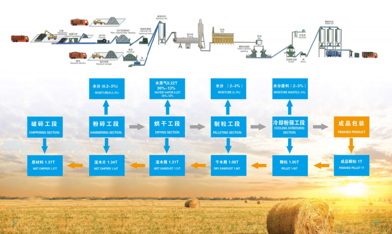 看球体育宣传册_13 - 副本.png